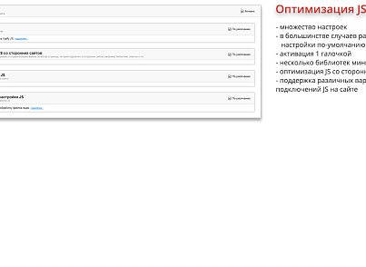 Фото Ammina Optimizer: Оптимизация и ускорение загрузки сайта (CSS, JS, HTML, изображения, WebP, Lazy)