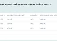 Ammina. Очистка кеша