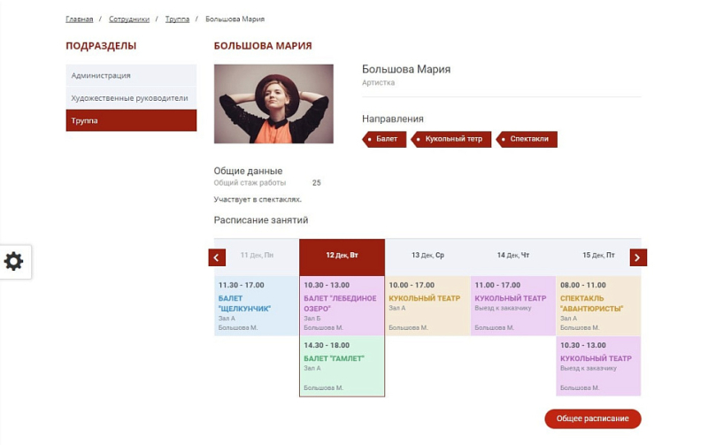 Фото Мибок: Сайт театра (филармонии, оперы, ансамбля, творческого проекта, музыкальной группы)